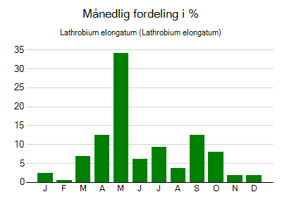Lathrobium elongatum - månedlig fordeling