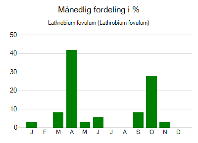 Lathrobium fovulum - månedlig fordeling