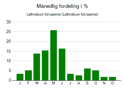 Lathrobium fulvipenne - månedlig fordeling