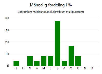 Lobrathium multipunctum - månedlig fordeling