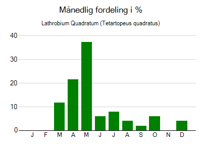 Lathrobium Quadratum - månedlig fordeling