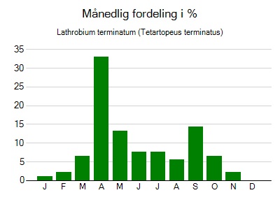 Lathrobium terminatum - månedlig fordeling