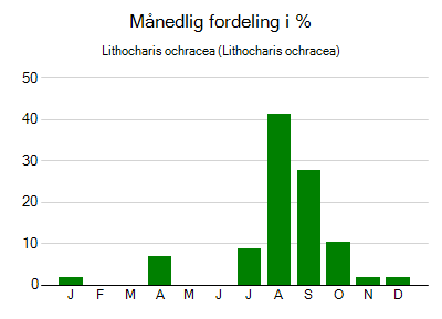 Lithocharis ochracea - månedlig fordeling