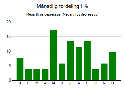 Megarthrus depressus - månedlig fordeling