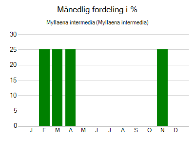 Myllaena intermedia - månedlig fordeling