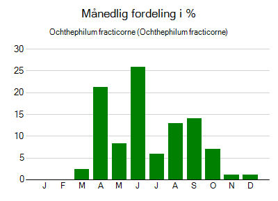 Ochthephilum fracticorne - månedlig fordeling