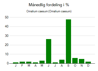 Omalium caesum - månedlig fordeling