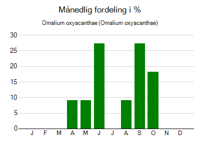 Omalium oxyacanthae - månedlig fordeling