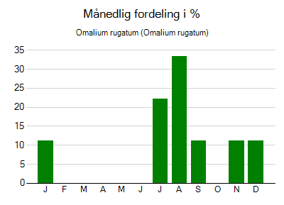 Omalium rugatum - månedlig fordeling