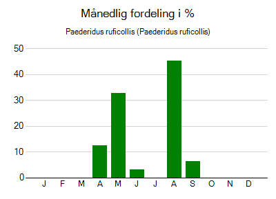 Paederidus ruficollis - månedlig fordeling
