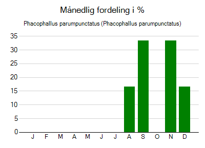 Phacophallus parumpunctatus - månedlig fordeling