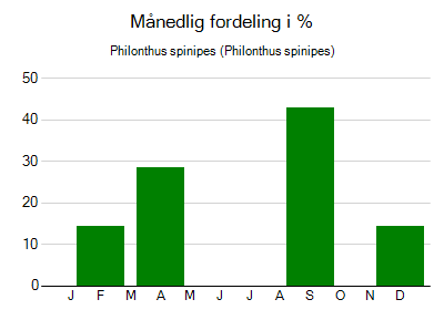 Philonthus spinipes - månedlig fordeling