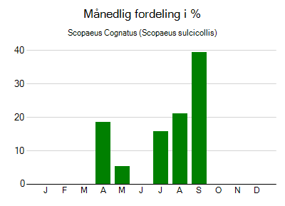 Scopaeus Cognatus - månedlig fordeling