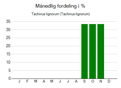 Tachinus lignorum - månedlig fordeling