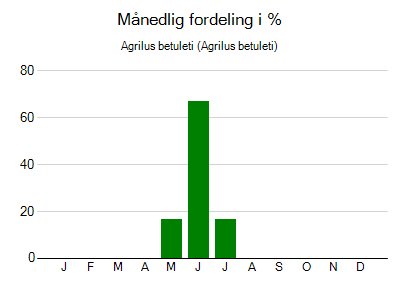 Agrilus betuleti - månedlig fordeling