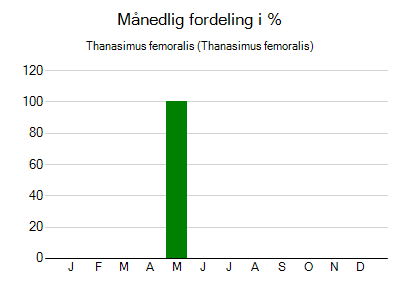 Thanasimus femoralis - månedlig fordeling