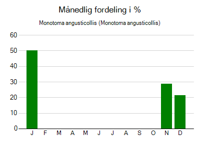Monotoma angusticollis - månedlig fordeling