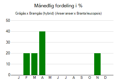 Grågås x Bramgås (hybrid) - månedlig fordeling