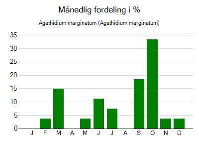 Agathidium marginatum - månedlig fordeling