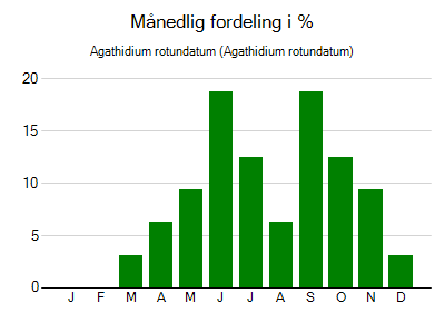 Agathidium rotundatum - månedlig fordeling