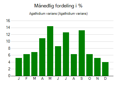 Agathidium varians - månedlig fordeling