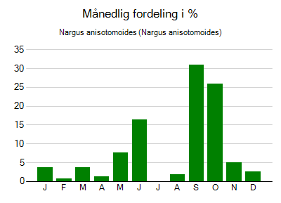 Nargus anisotomoides - månedlig fordeling