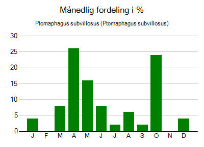 Ptomaphagus subvillosus - månedlig fordeling