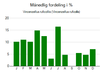 Vincenzellus ruficollis - månedlig fordeling