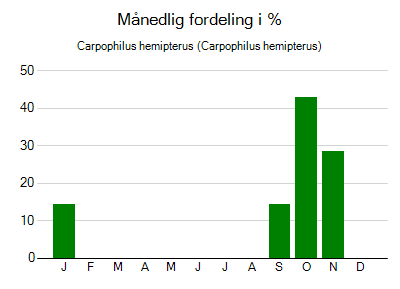 Carpophilus hemipterus - månedlig fordeling