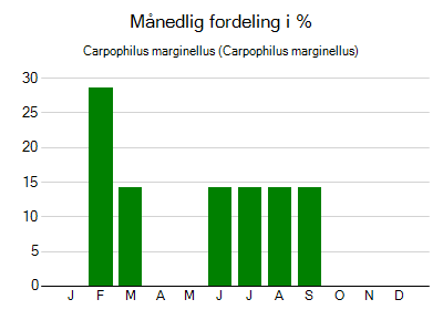 Carpophilus marginellus - månedlig fordeling