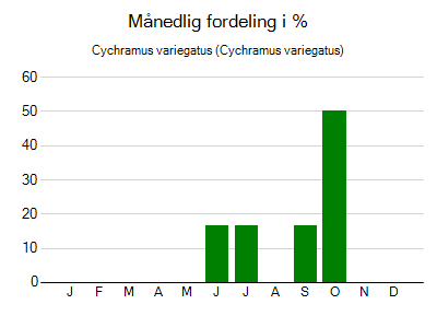 Cychramus variegatus - månedlig fordeling