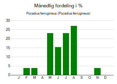 Pocadius ferrugineus - månedlig fordeling
