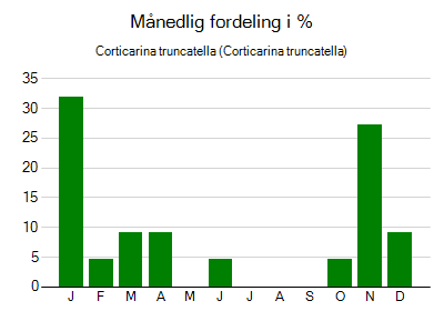 Corticarina truncatella - månedlig fordeling