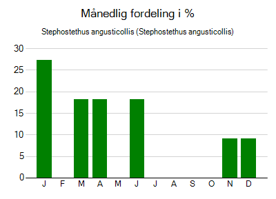 Stephostethus angusticollis - månedlig fordeling