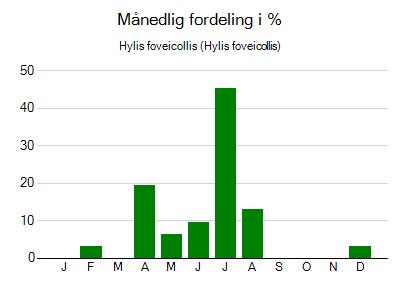 Hylis foveicollis - månedlig fordeling