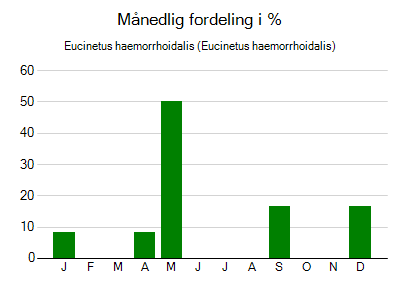 Eucinetus haemorrhoidalis - månedlig fordeling