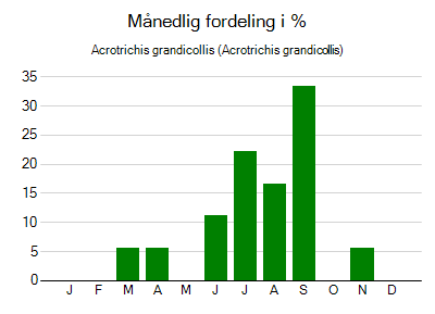 Acrotrichis grandicollis - månedlig fordeling