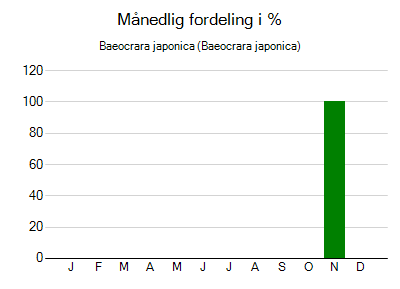 Baeocrara japonica - månedlig fordeling