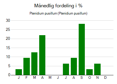 Ptenidium pusillum - månedlig fordeling