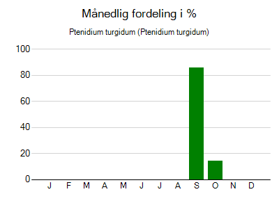 Ptenidium turgidum - månedlig fordeling