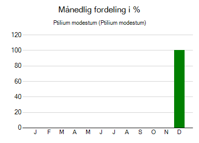 Ptilium modestum - månedlig fordeling