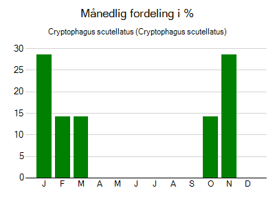 Cryptophagus scutellatus - månedlig fordeling
