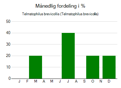 Telmatophilus brevicollis - månedlig fordeling