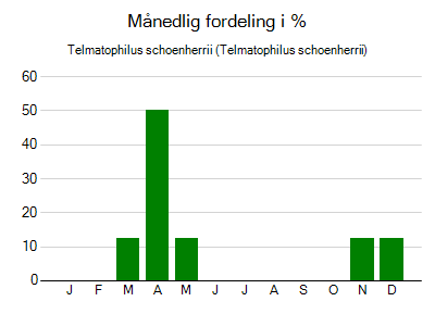 Telmatophilus schoenherrii - månedlig fordeling