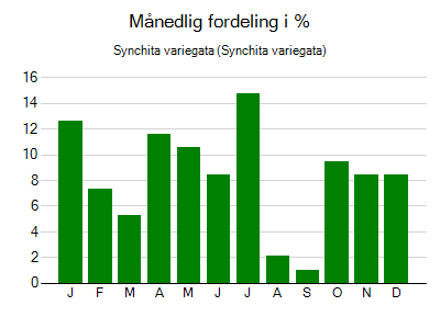 Synchita variegata - månedlig fordeling