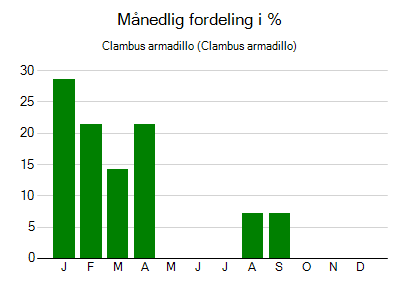 Clambus armadillo - månedlig fordeling