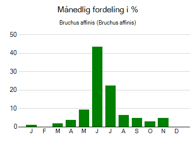 Bruchus affinis - månedlig fordeling