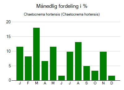 Chaetocnema hortensis - månedlig fordeling