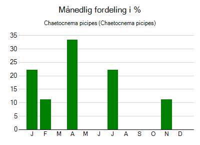 Chaetocnema picipes - månedlig fordeling