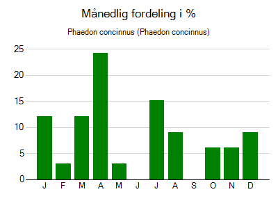 Phaedon concinnus - månedlig fordeling